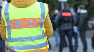 Berliner Hotel "Adlon" aus Protest gegen Flüssiggasgipfel mit Farbe beworfen