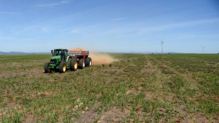 Rechnungshof: EU-Länder setzen Umweltvorgaben für Landwirtschaft nicht um