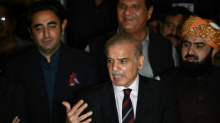 Shehbaz Sharif zum neuen Regierungschef von Pakistan gewählt