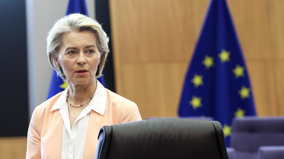 Renew a Von der Leyen, 'no accordi con destre inclusa Ecr'