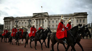 Dos de los caballos que se escaparon en el centro de Londres están graves