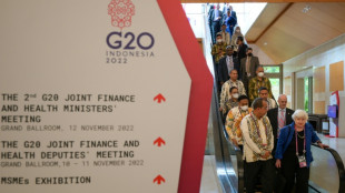 G20 ministers launch billion-dollar pandemic fund