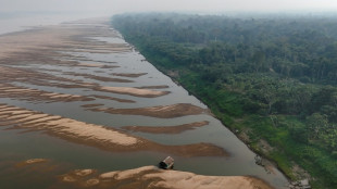 Seca deixa afluentes do rio Amazonas em 'situação crítica'