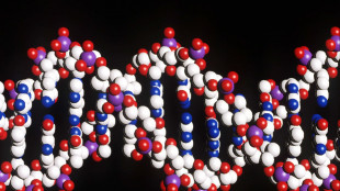 Mangiare poco aiuta a vivere più a lungo, ma dipende dal Dna