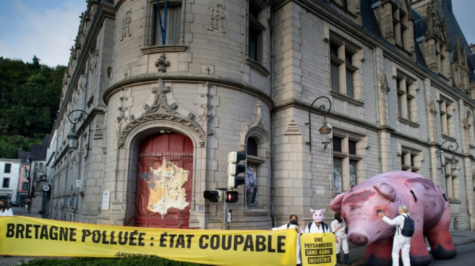 Greenpeace protestiert gegen Algenpest durch Massentierhaltung in der Bretagne