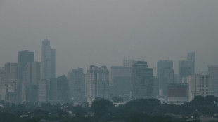 La pollution de l'air, première menace mondiale pour la santé humaine, selon une étude