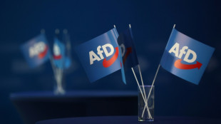 Bundes-AfD setzt erneut Notvorstand im Saarland ein