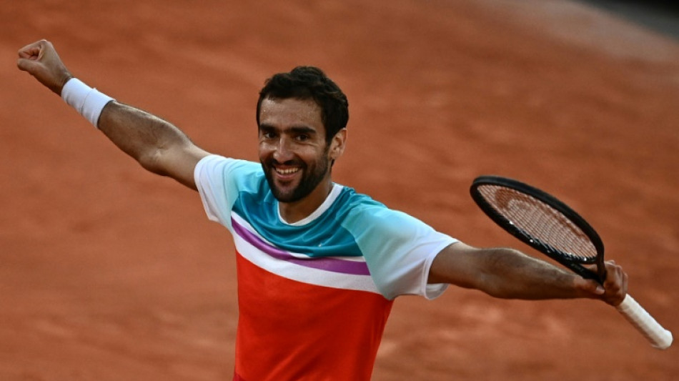 Roland-Garros: première demi-finale à Paris pour Cilic, à 33 ans