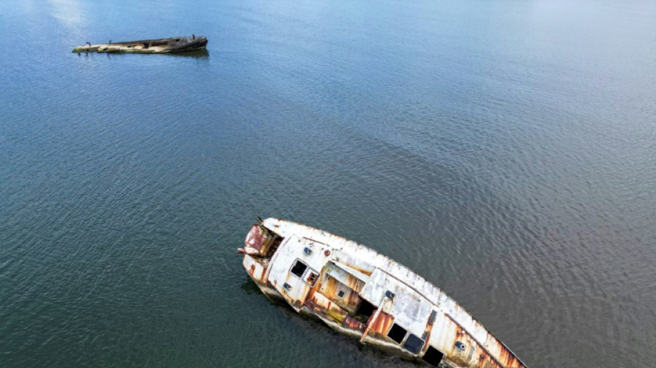 Una oportunidad para la vida marina en el cementerio de barcos de Panamá