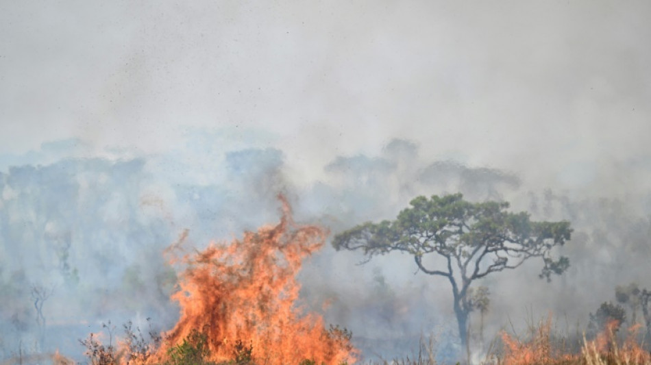 What we know about the fire 'pandemic' plaguing Brazil 