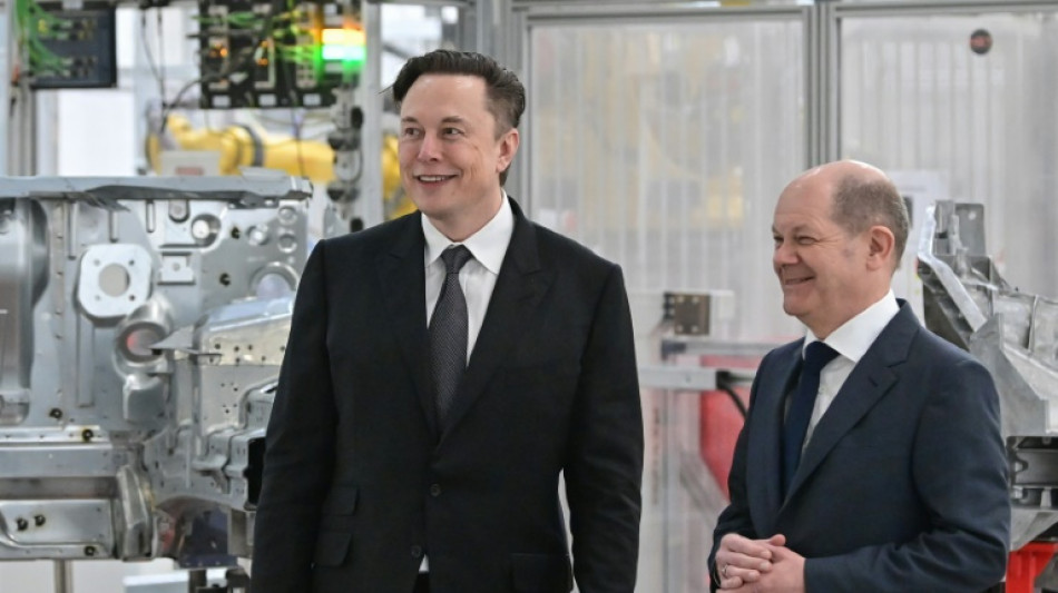 Verbalattacken von Musk auf deutsche Spitzenpolitiker: Scholz will "cool bleiben"