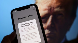 Trump says will delay TikTok ban, proposes US part-ownership