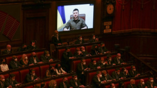 Zelensky urges Italy not to let elite Russians party