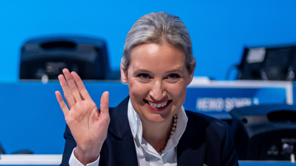 Weidel eletta all'unanimità candidata cancelliera Afd