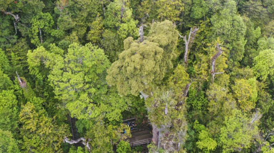 Chile aprova nova lei para proteção da natureza