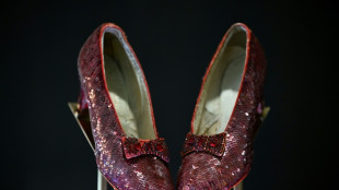 Way up high: Dorothy's ruby slippers fetch record $32.5 mn