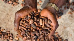 Nel 2024 prezzo record per il cacao, quotazioni +170%